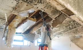 Best Residential Mold Inspection & Testing in Kings Bay Base, GA